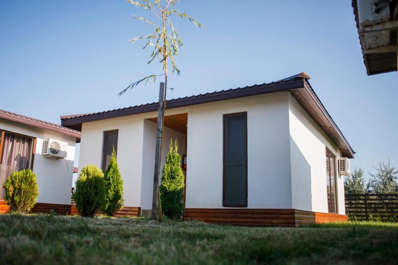 Marina Surf Hotel Năvodari Exterior foto